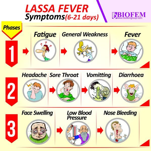 What You Need to Know about Lassa Fever & How to Avoid It | BellaNaija