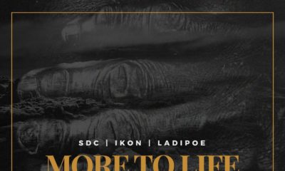 New Music: SDC x Poe x Ikon - More To Life